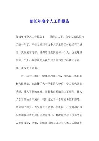 部长年度个人工作报告