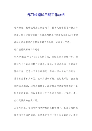 部门经理试用期工作总结-