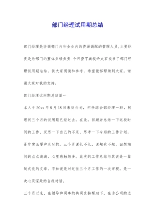 部门经理试用期总结-