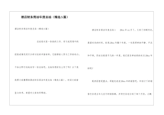酒店财务简洁年度总结