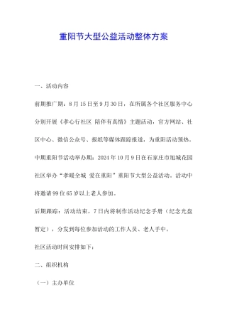 重阳节大型公益活动整体方案