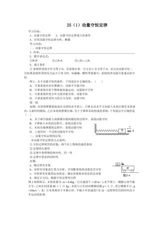 25动量守恒定律
