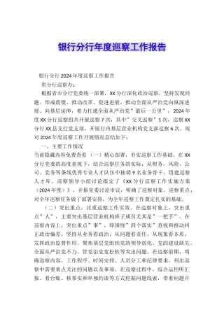 银行分行年度巡察工作报告