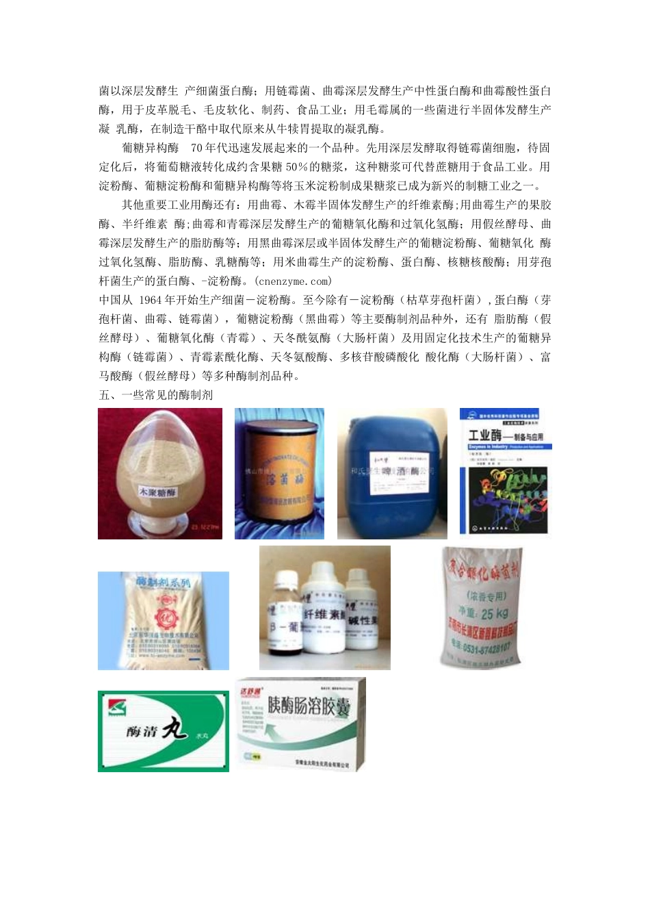 3.2《酶在工业生产中的应用》素材（新人教版选修2）_第3页