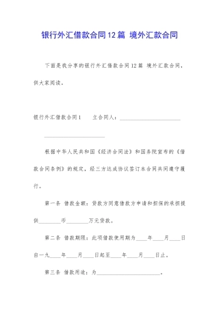 银行外汇借款合同12篇-境外汇款合同
