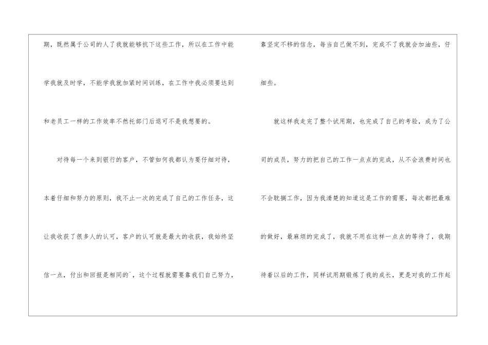 银行客户经理试用期工作总结_第3页
