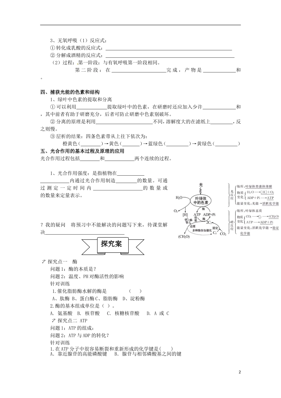 2015高中生物 学业水平复习测试 第3单元 细胞能量供应和利用 新人教版必修1_第2页