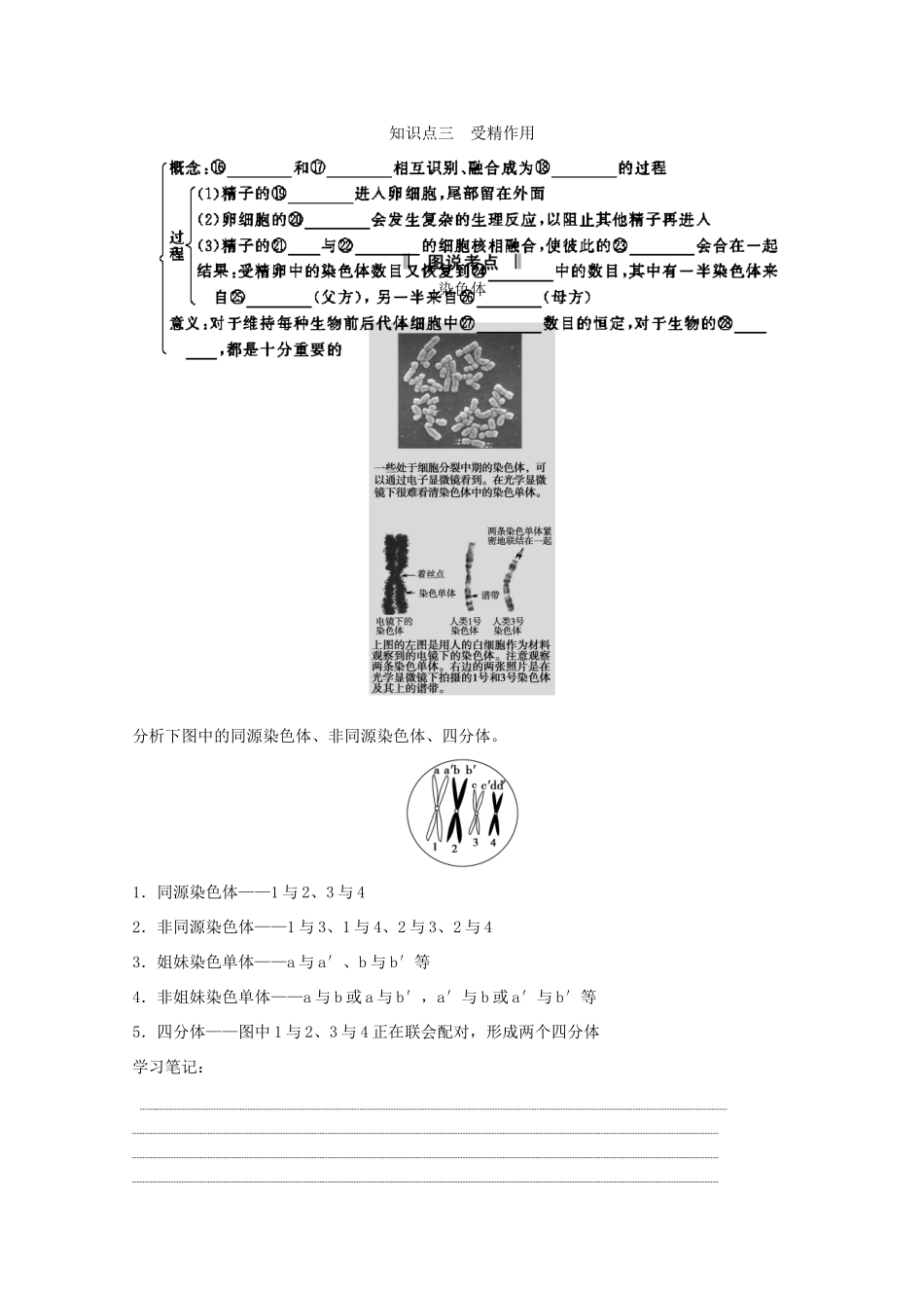 2015届高考生物一轮复习 1.3 减数分裂和受精作用教案（含解析）新人教版必修2_第2页