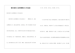 银行新员工试用期转正工作总结