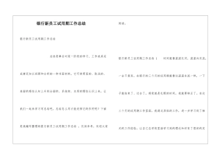 银行新员工试用期工作总结-