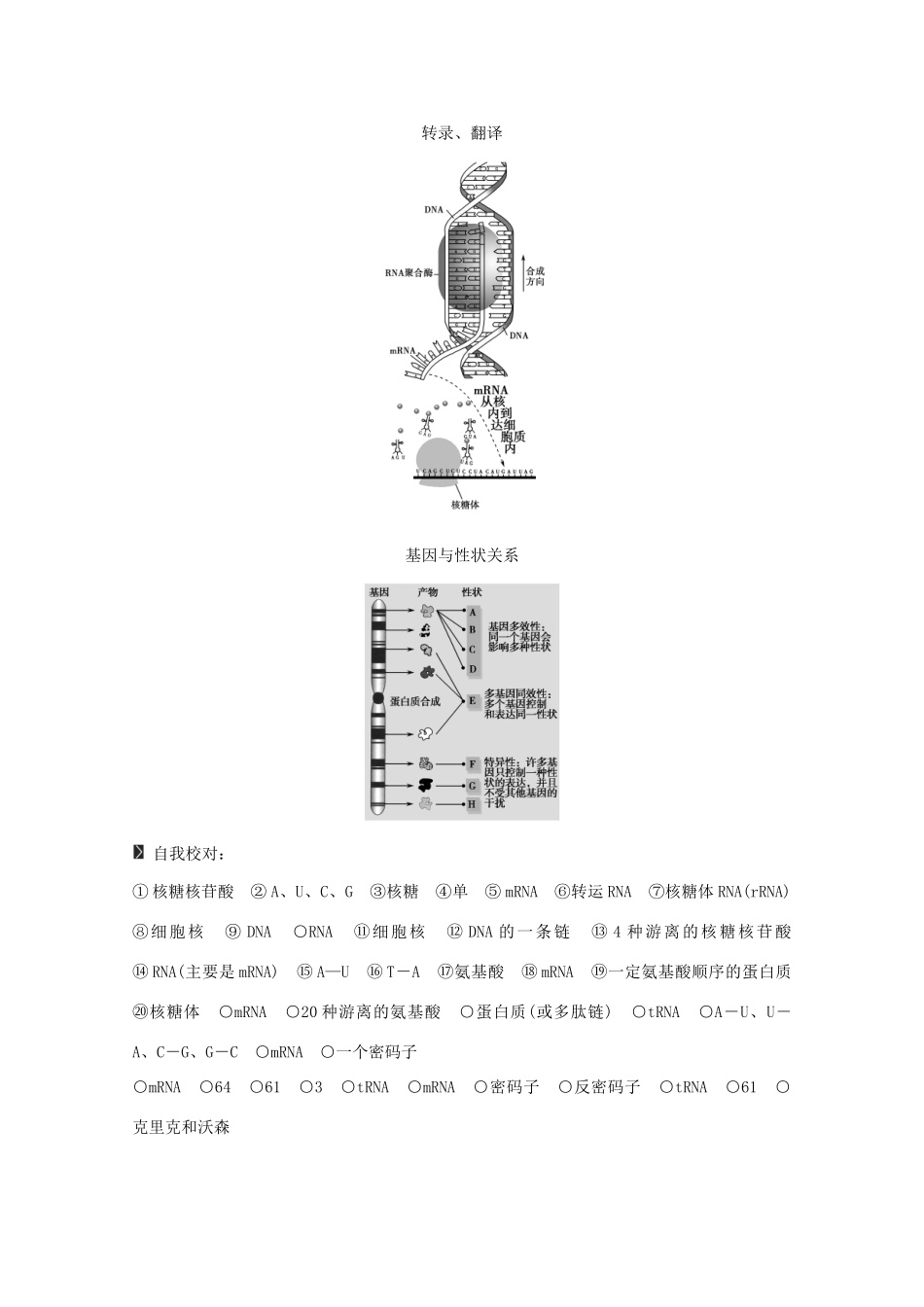 2015届高考生物一轮复习 2.3 基因的表达教案（含解析）新人教版必修2_第2页