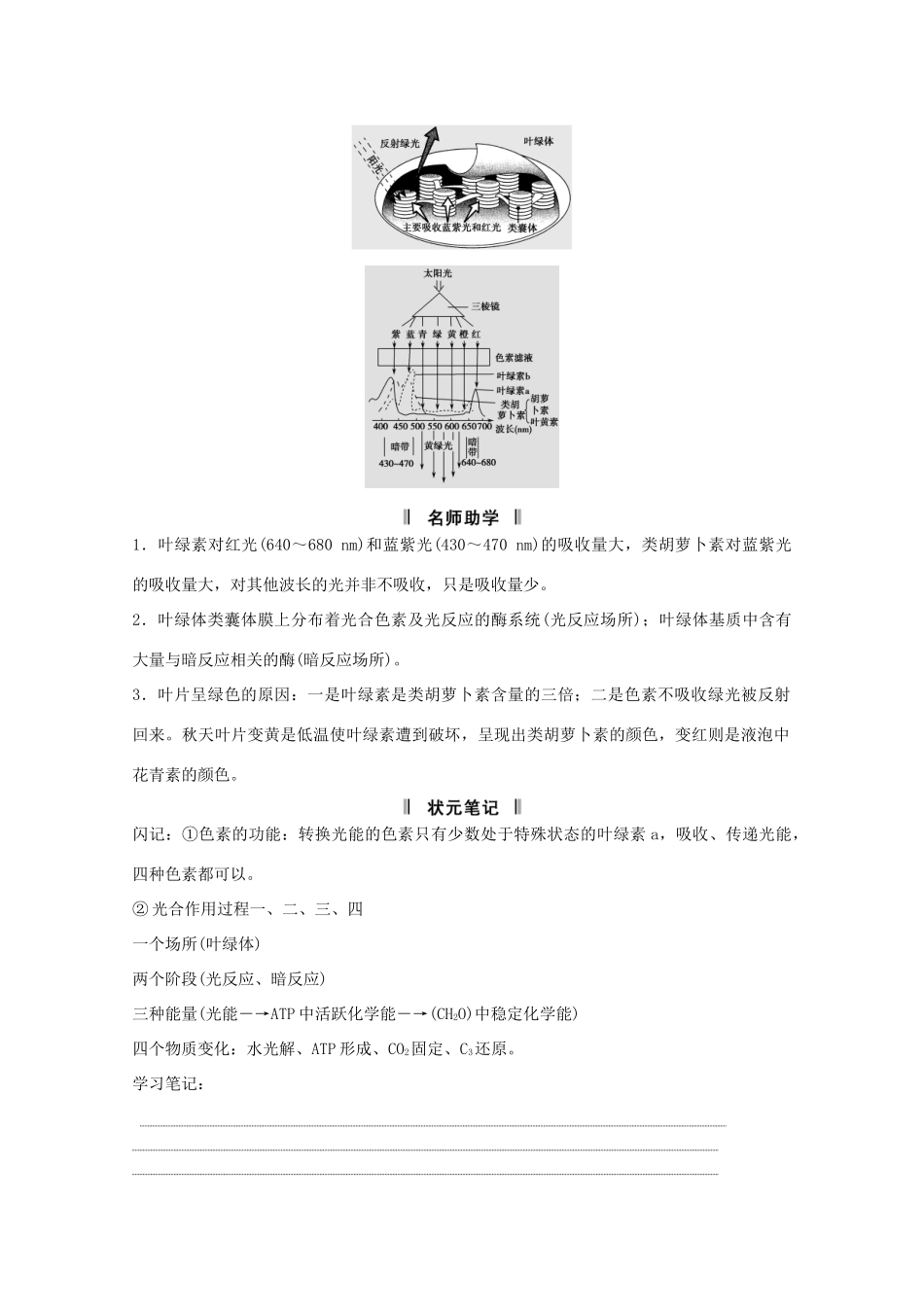 2015届高考生物一轮复习 3.3 能量之源教案（含解析）新人教版必修1_第2页