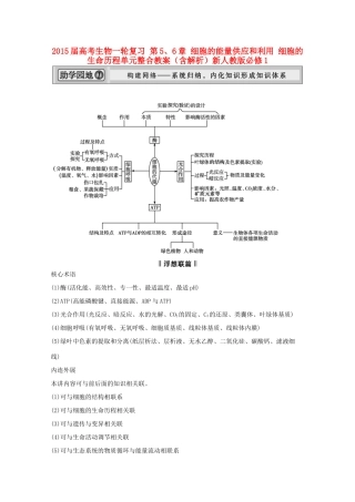 2015届高考生物一轮复习 第5、6章 细胞的能量供应和利用 细胞的生命历程单元整合教案（含解析）新人教版必修1