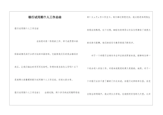 银行试用期个人工作总结