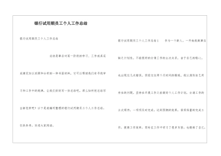 银行试用期员工个人工作总结