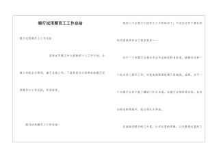 银行试用期员工工作总结