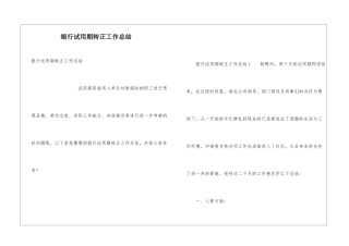 银行试用期转正工作总结
