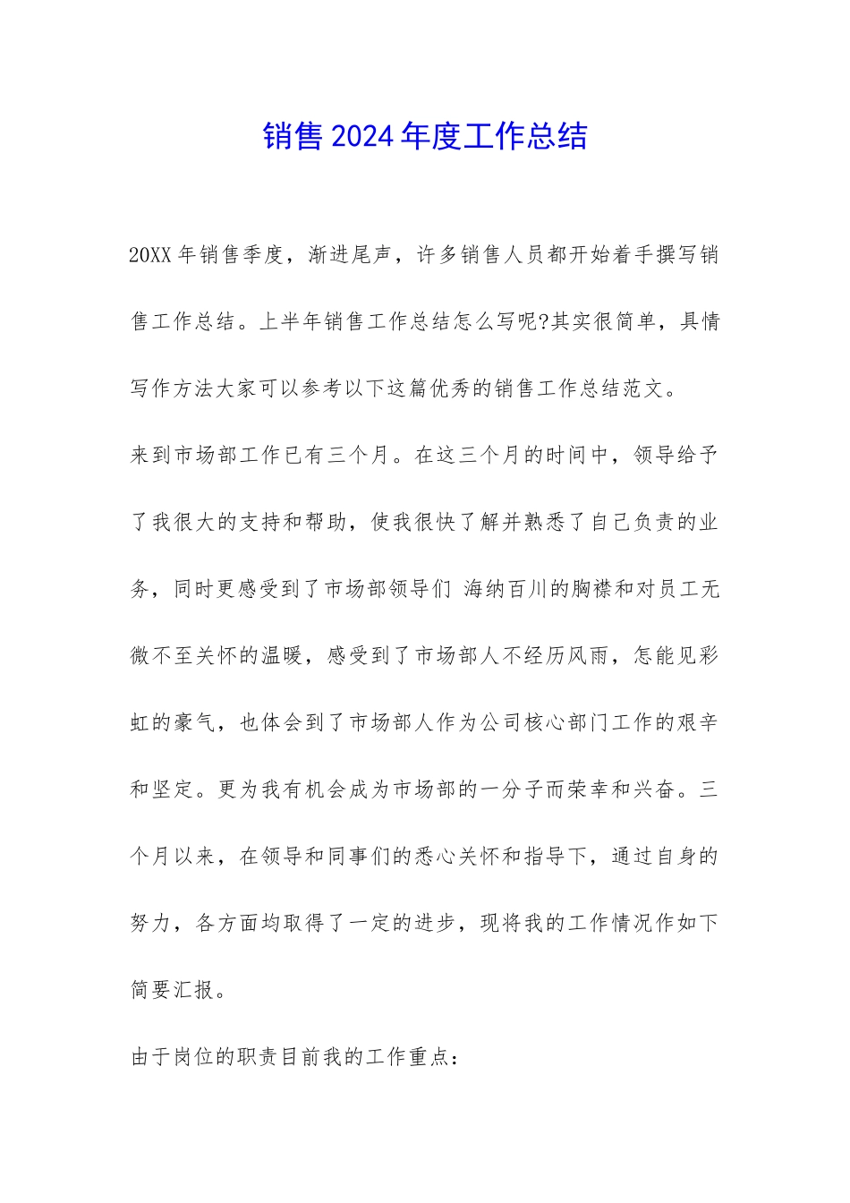 销售2024年度工作总结-_第1页