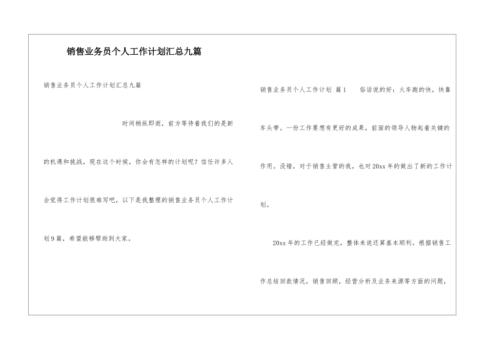 销售业务员个人工作计划汇总九篇_第1页