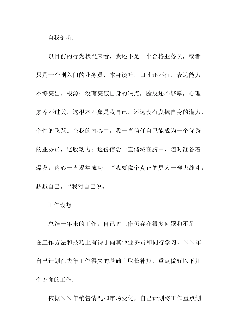 销售业务员个人年终总结_第3页