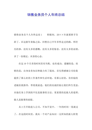 销售业务员个人年终总结