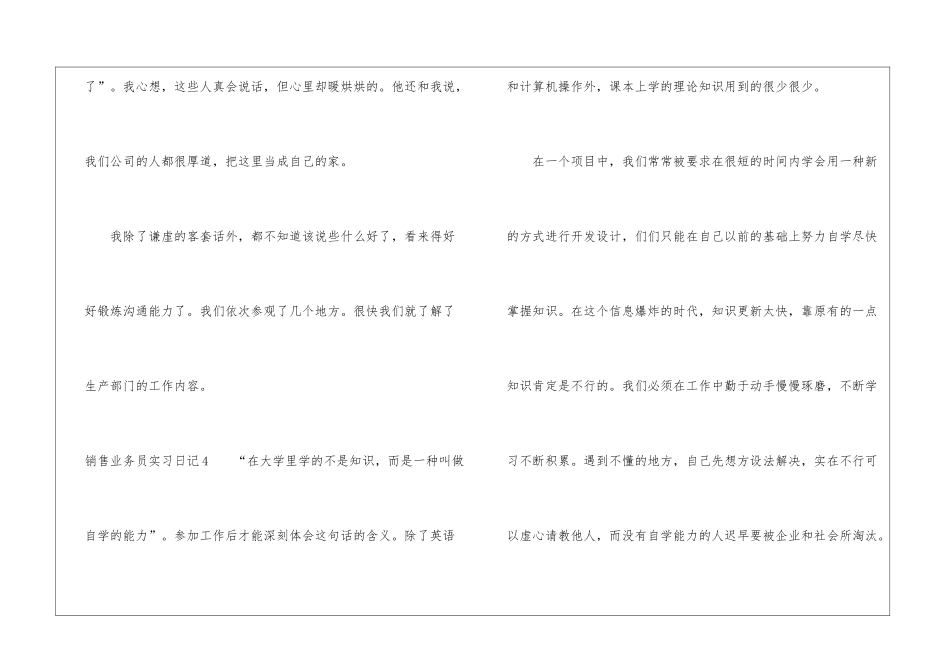 销售业务员实习日记_第3页