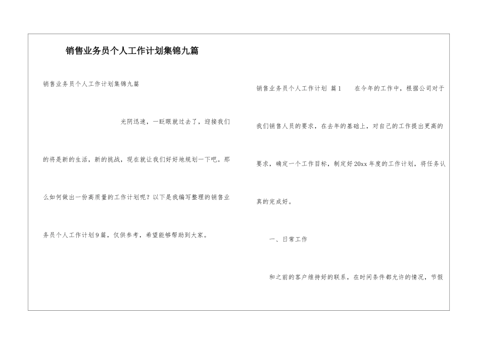 销售业务员个人工作计划集锦九篇_第1页