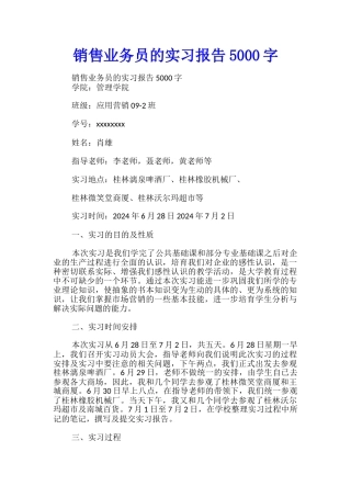 销售业务员的实习报告5000字