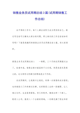 销售业务员试用期总结3篇
