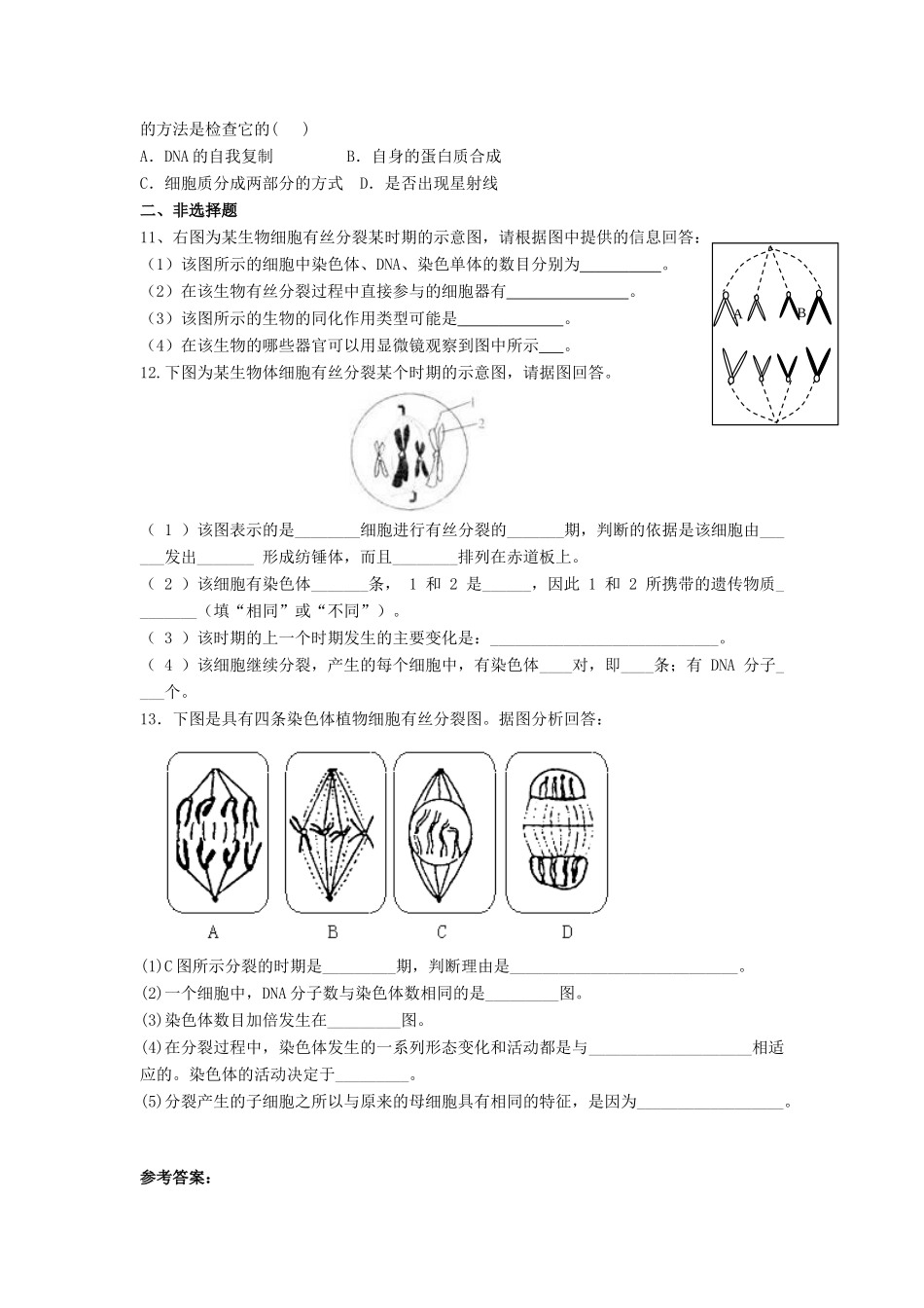 5.1《细胞增殖》测试（苏教版必修1）_第2页