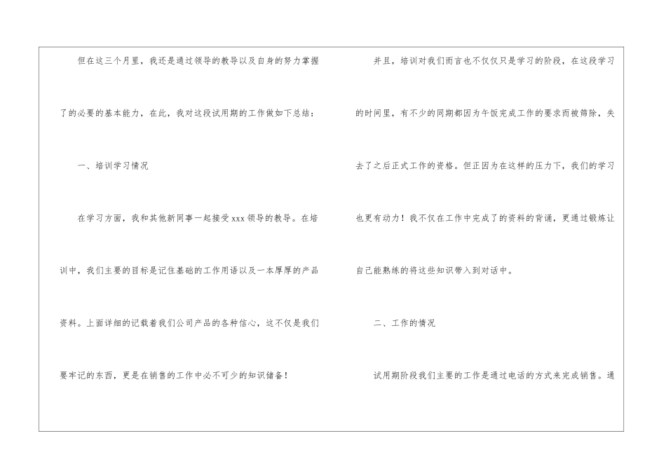 销售个人试用期工作总结_第2页
