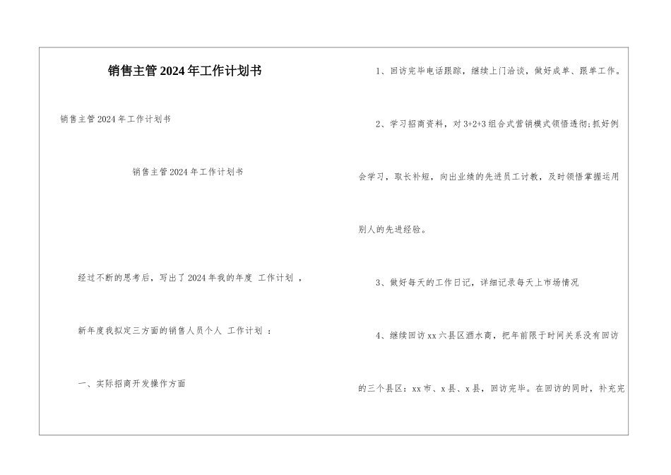 销售主管2024年工作计划书_第1页