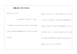 销售主管上半年工作计划