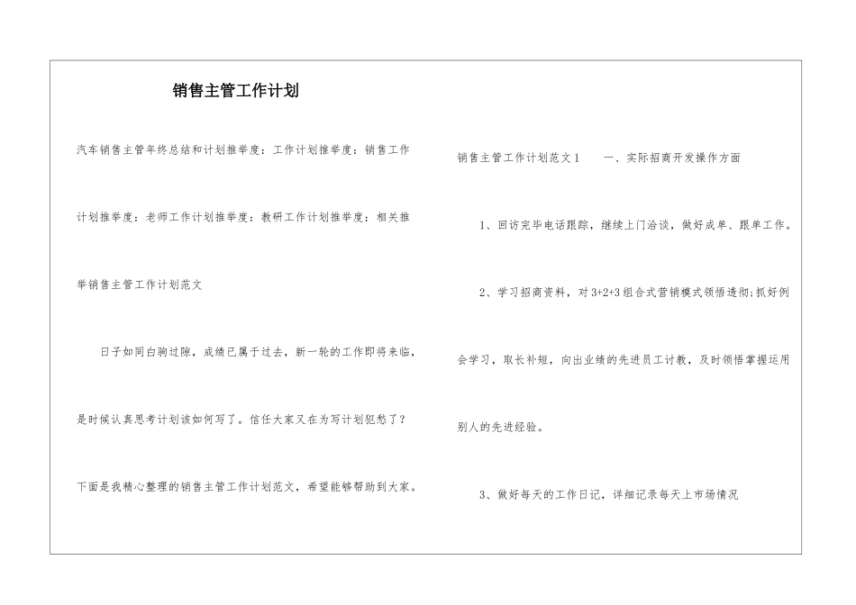 销售主管工作计划_第1页