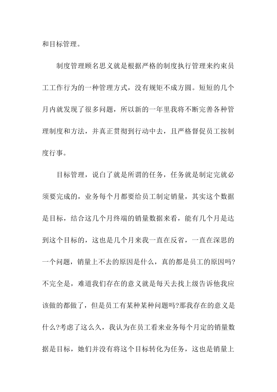 销售主管年终总结_第2页