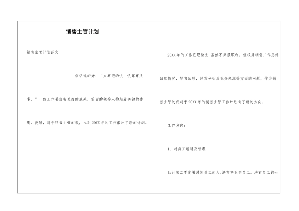 销售主管计划_第1页