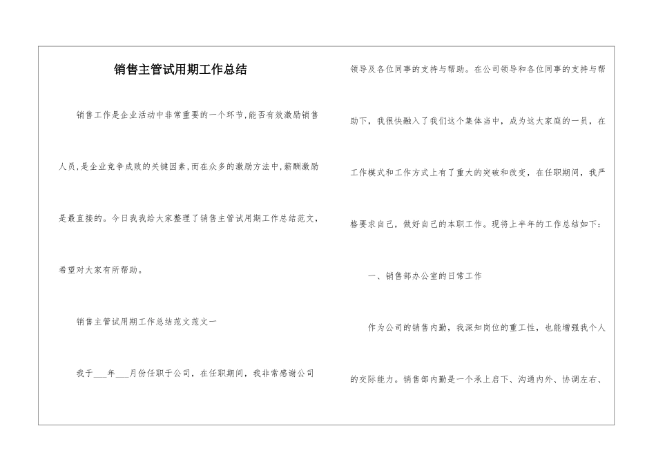 销售主管试用期工作总结_第1页