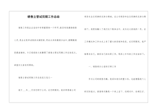 销售主管试用期工作总结