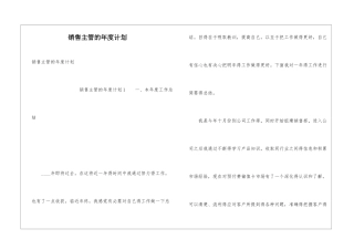 销售主管的年度计划