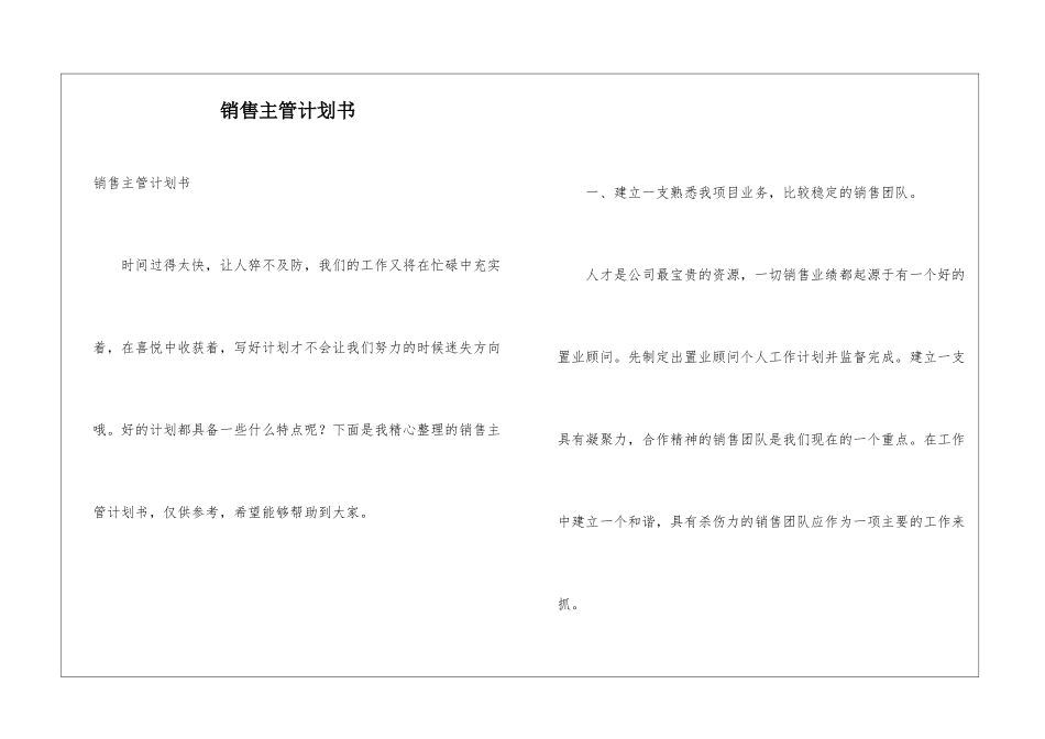 销售主管计划书_第1页