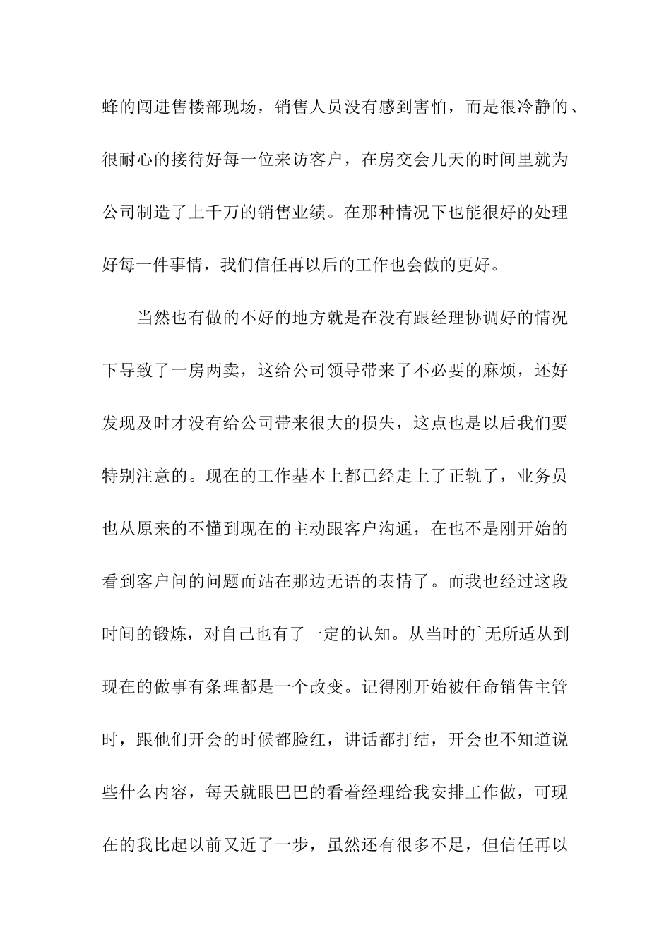 销售主管述职报告_第3页