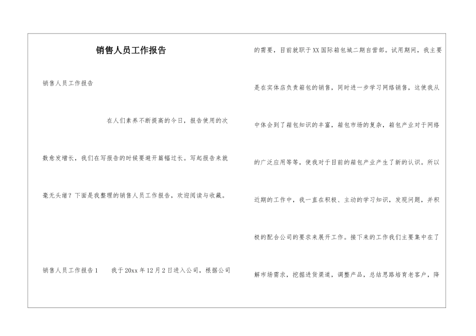 销售人员工作报告_第1页