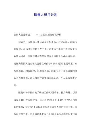 销售人员月计划