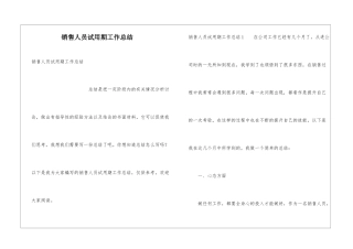 销售人员试用期工作总结