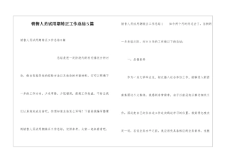 销售人员试用期转正工作总结5篇