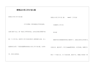 销售会计的工作计划6篇