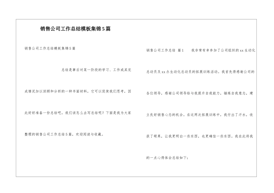 销售公司工作总结模板集锦5篇_第1页