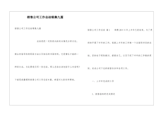 销售公司工作总结锦集九篇