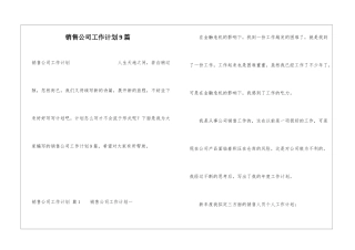 销售公司工作计划9篇