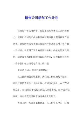 销售公司新年工作计划